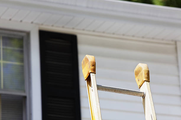 Best Custom Trim and Detailing for Siding  in Edna, TX